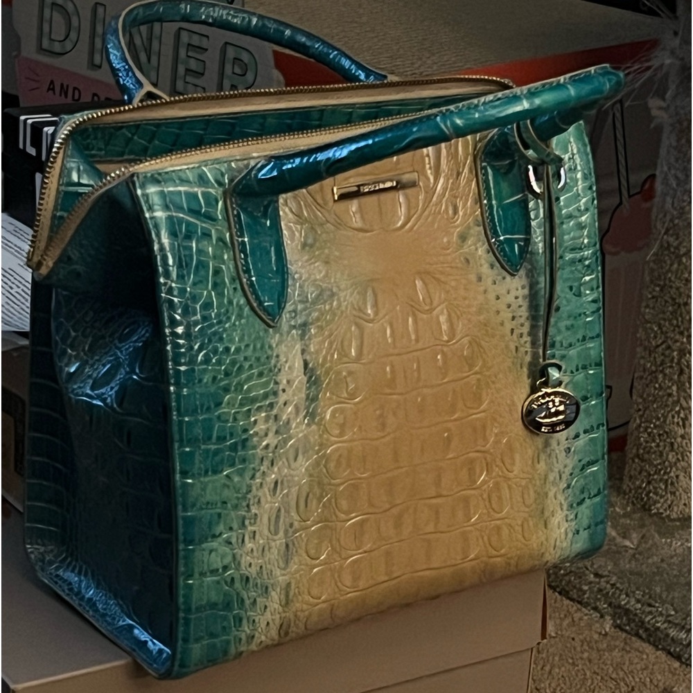 Brahmin Caroline Ocean Ombré